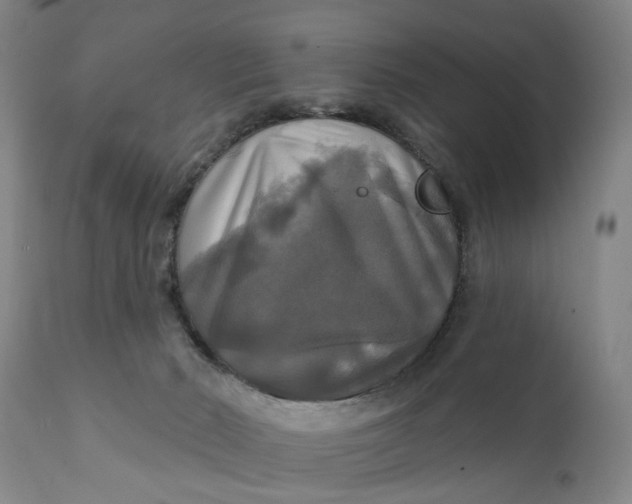 X0000111240030200907161353