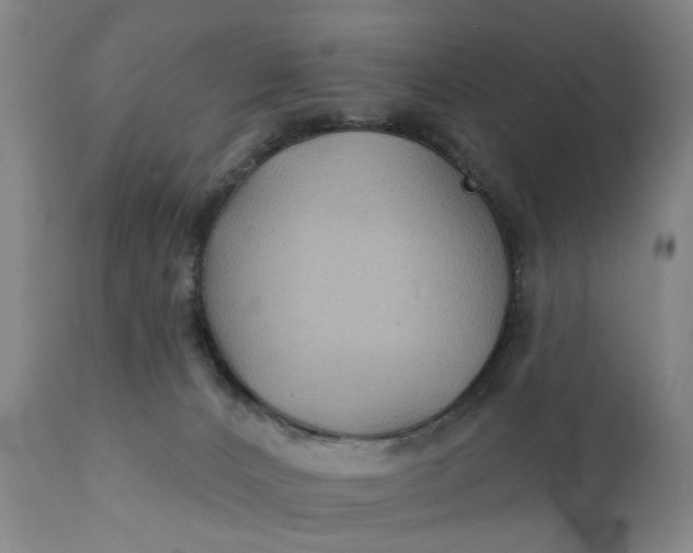 X0000111240032200907161353