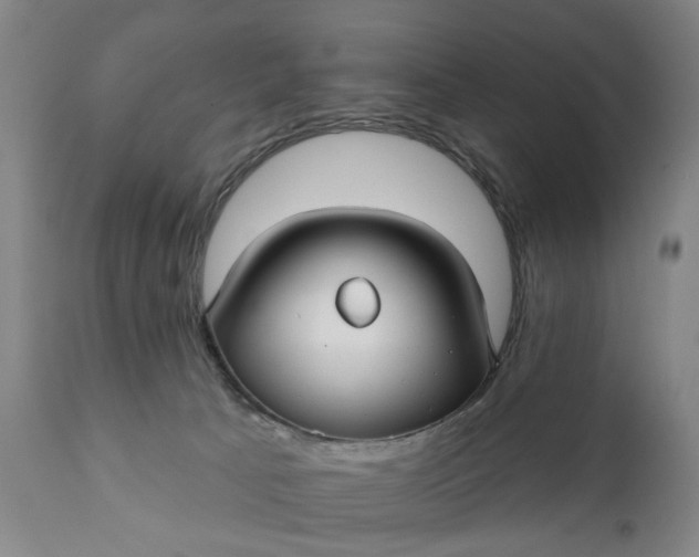 X0000111240033200907161353