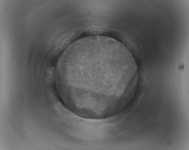 X0000111240034200907161353