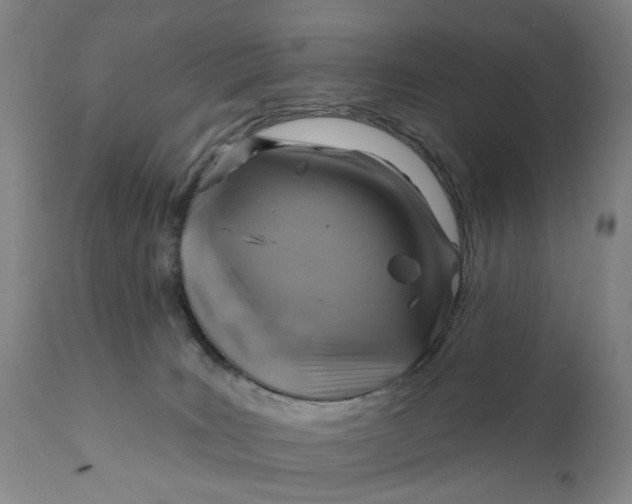 X0000111240035200907161353