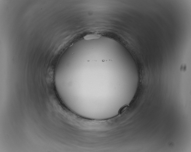 X0000111240036200907161353