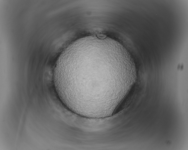 X0000111240037200907161353