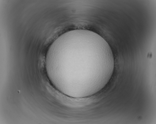 X0000111240038200907161353