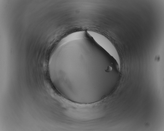 X0000111240039200907161353