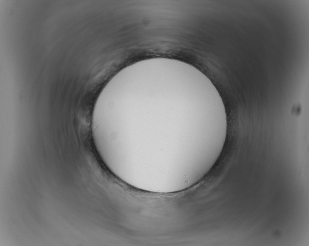 X0000111240040200907161353