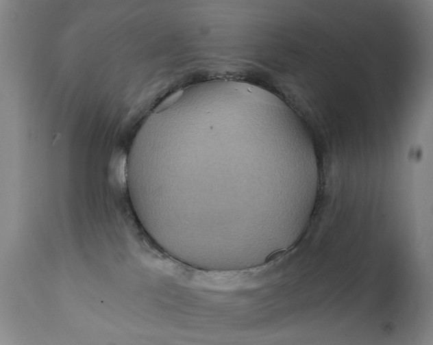 X0000111240041200907161353