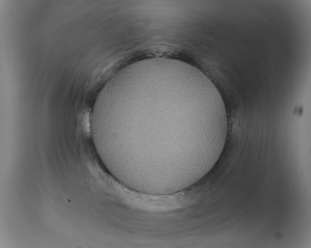 X0000111240042200907161353