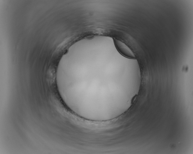 X0000111240043200907161353