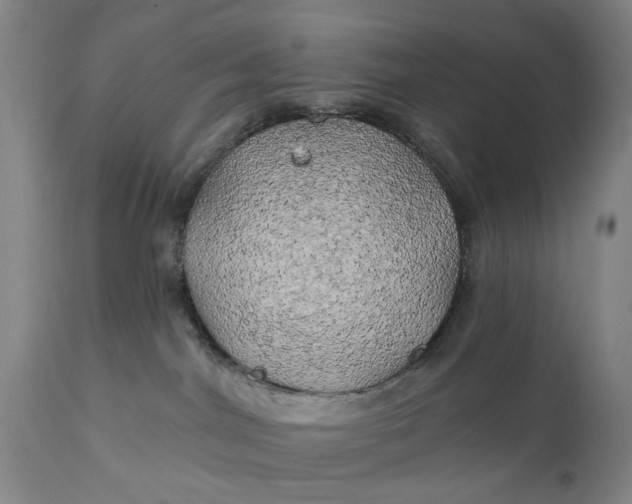 X0000111240044200907161353