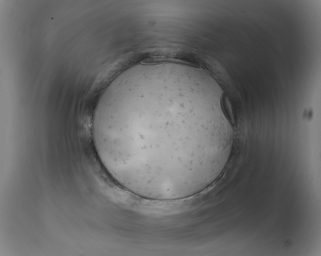 X0000111240045200907161353