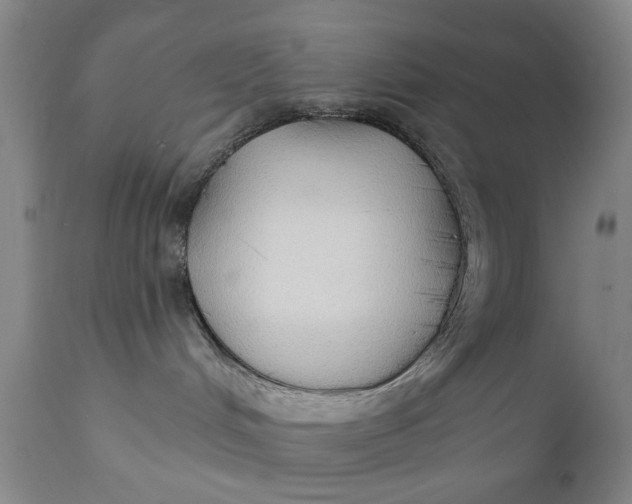 X0000111240048200907161352