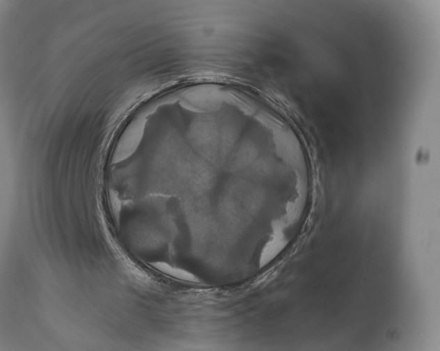 X0000111240049200907161352