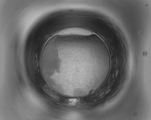 X0000111240050200907161352