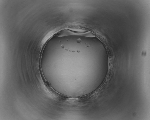 X0000111240051200907161352