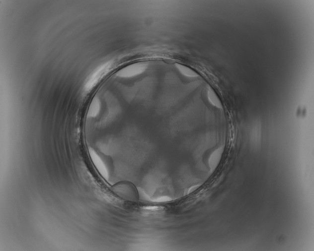 X0000111240053200907161352