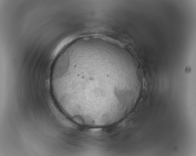 X0000111240054200907161352