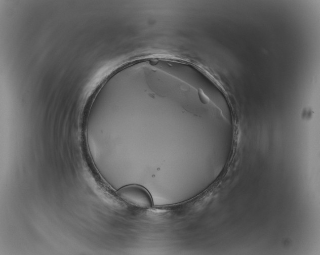 X0000111240055200907161352