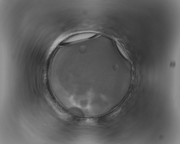 X0000111240056200907161352