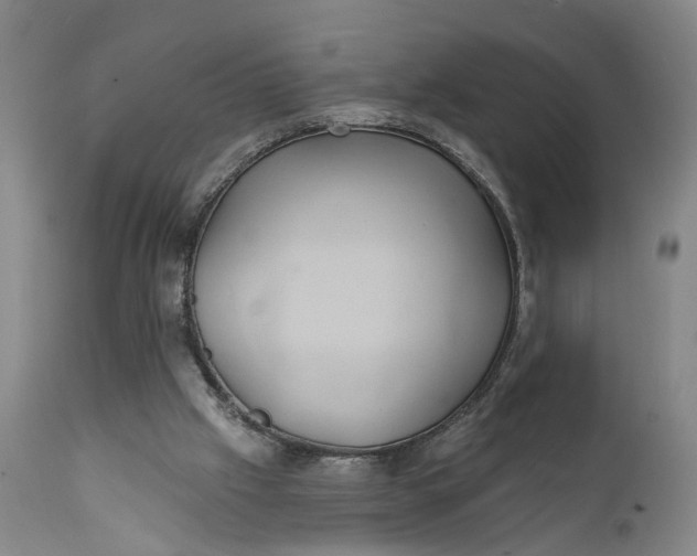 X0000111240057200907161352