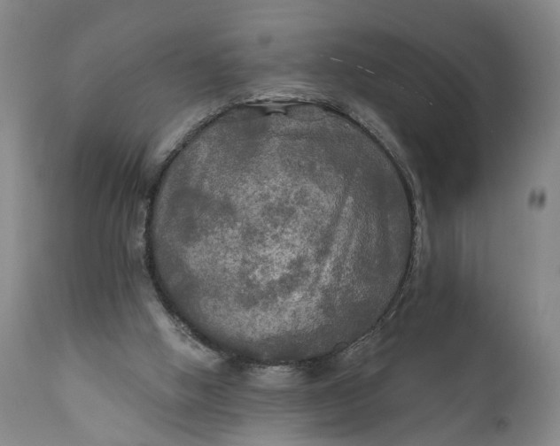 X0000111240058200907161352