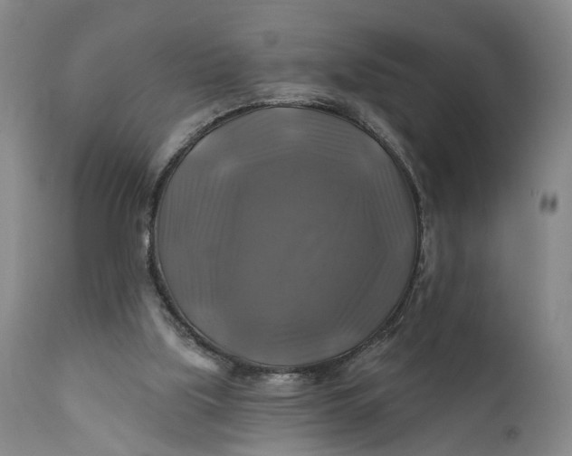 X0000111240059200907161352