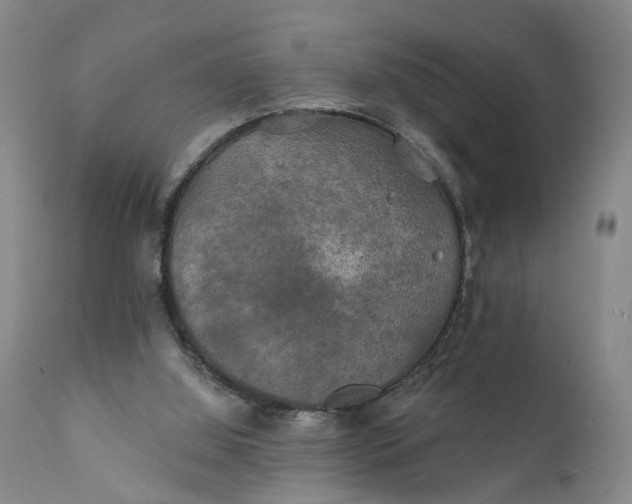 X0000111240060200907161352