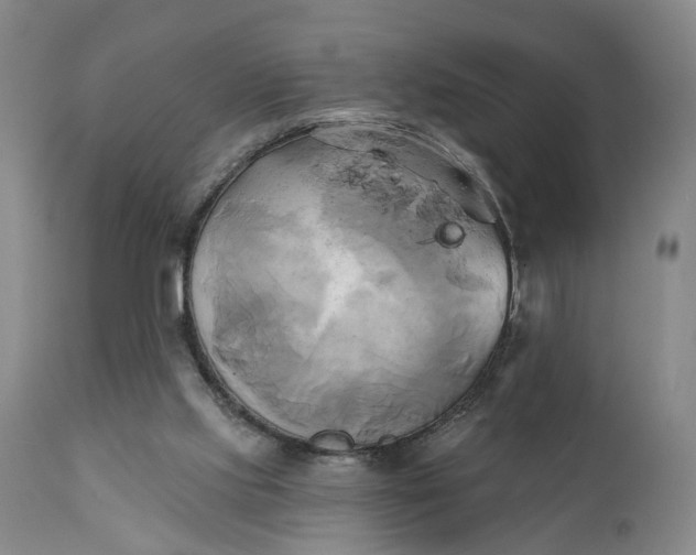 X0000111240061200907161352