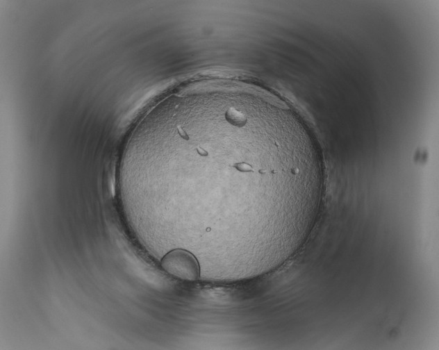 X0000111240062200907161352