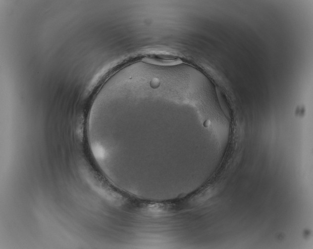 X0000111240064200907161352