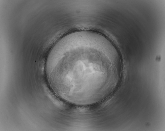 X0000111240065200907161352