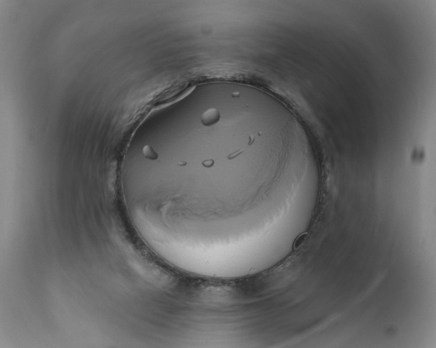 X0000111240066200907161352