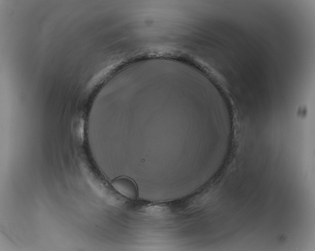 X0000111240067200907161352