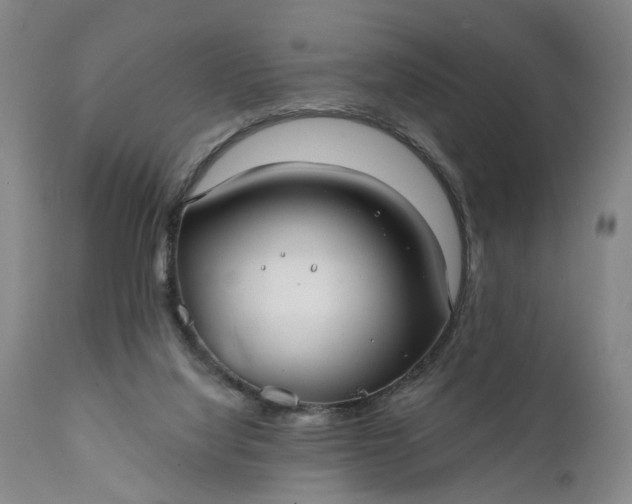 X0000111240068200907161352