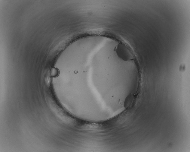 X0000111240069200907161352