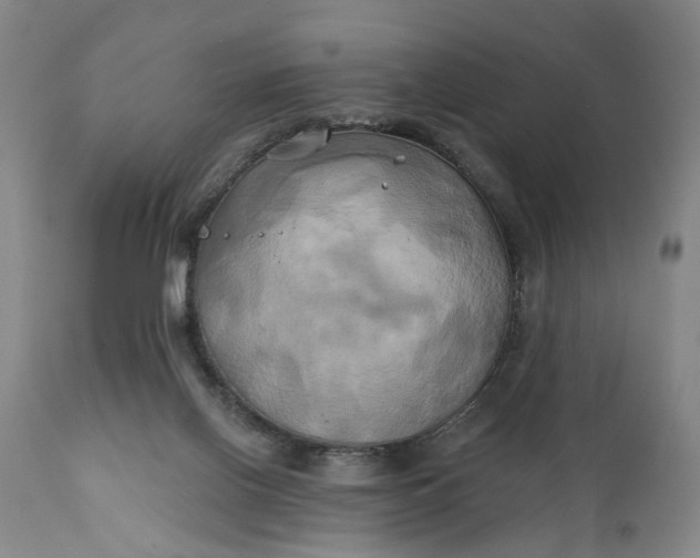 X0000111240070200907161352