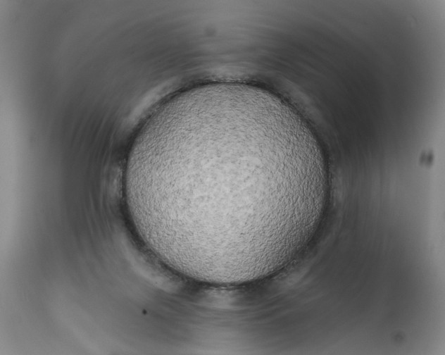 X0000111240071200907161352