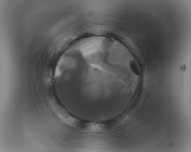 X0000111240073200907161352