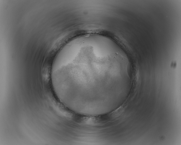 X0000111240074200907161352