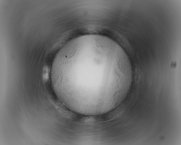 X0000111240075200907161352