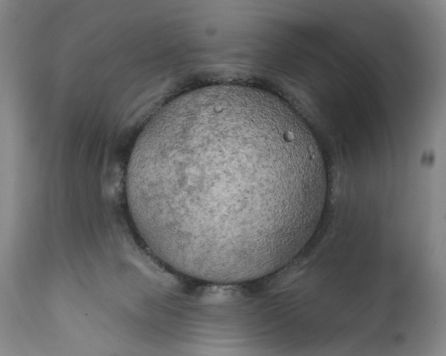 X0000111240077200907161352