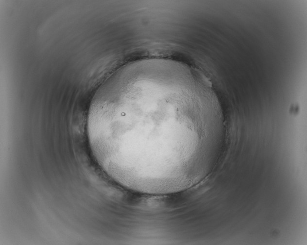 X0000111240078200907161352