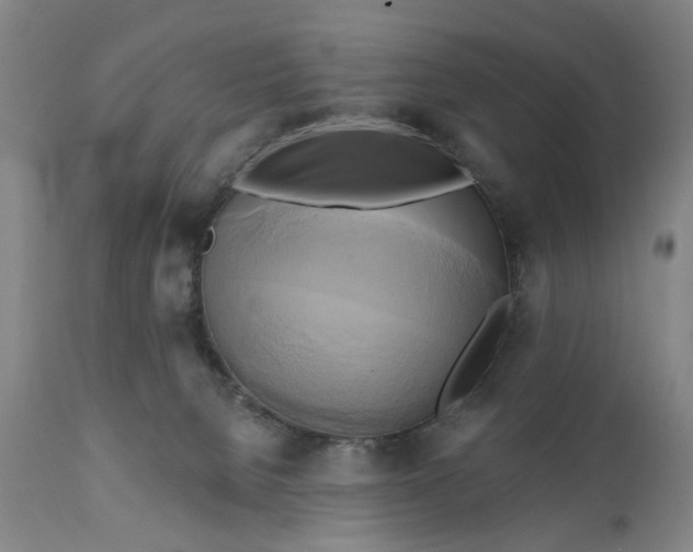 X0000111240080200907161352