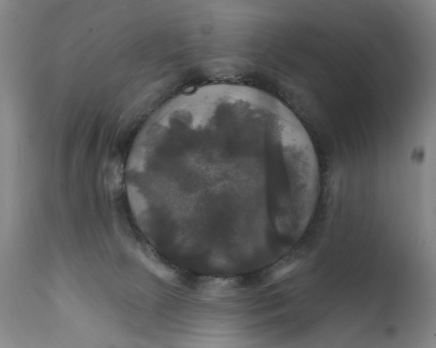 X0000111240081200907161352