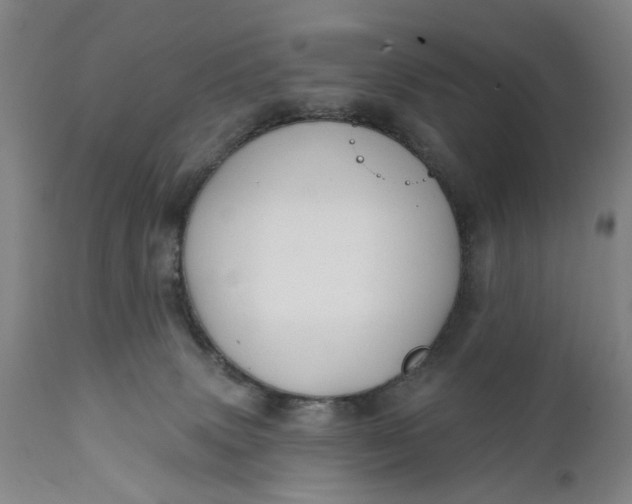 X0000111240083200907161352