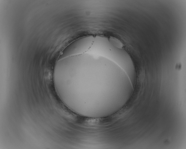 X0000111240084200907161352