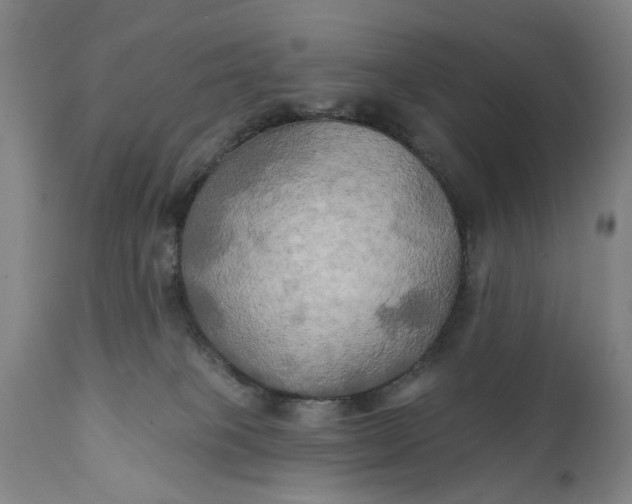 X0000111240085200907161352