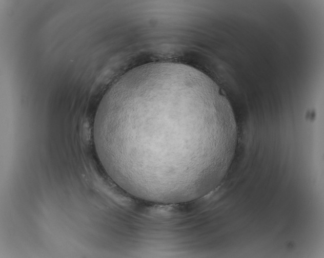 X0000111240086200907161352