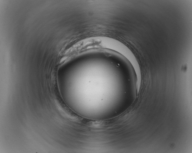 X0000111240088200907161352