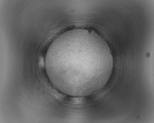 X0000111240089200907161352